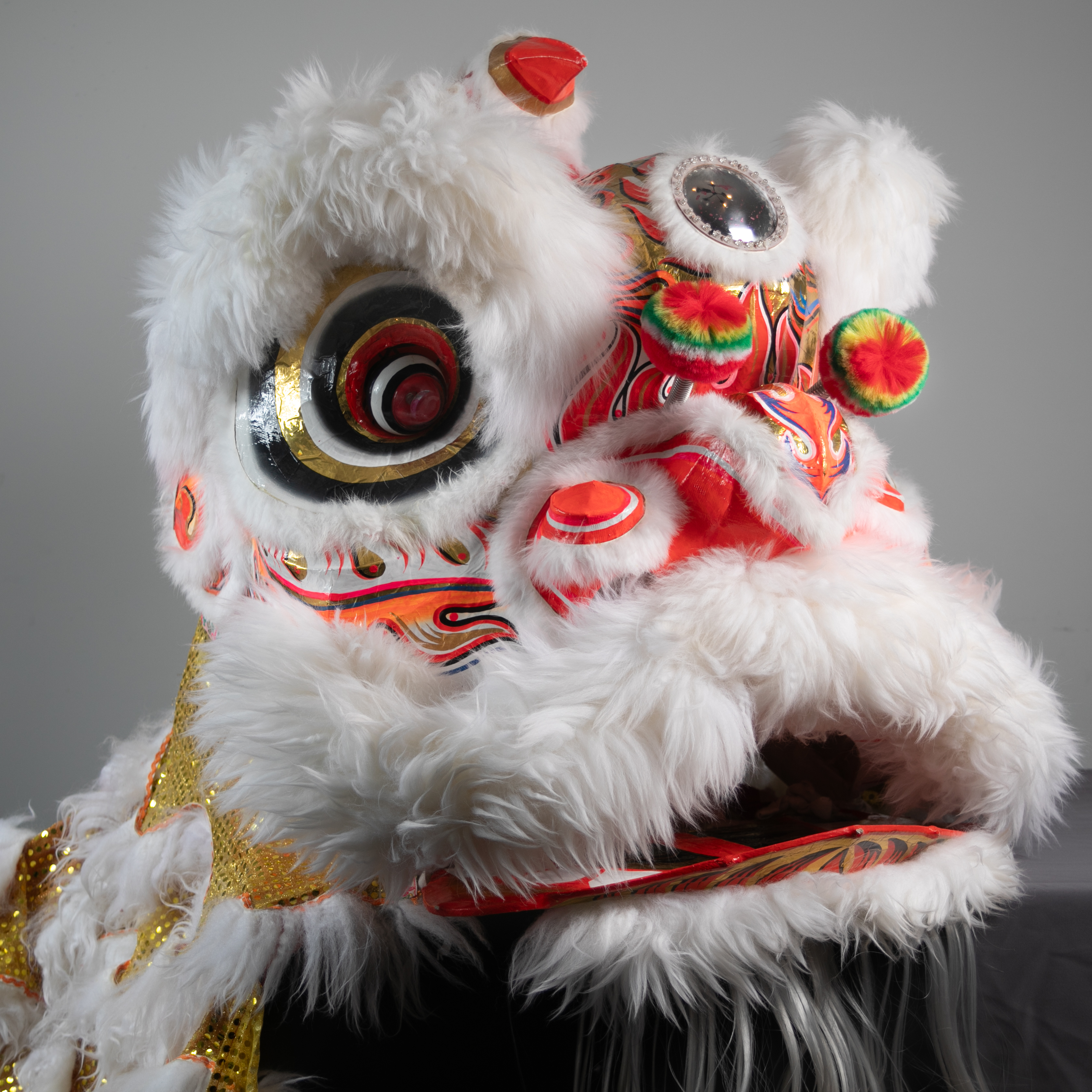 lion picture F White/Gold